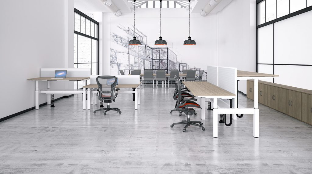 height adjustable, sit stand, back-to-back desk, double bench, white frame, oak desk, dividing screen, cable management, slinky, spine, premium controller